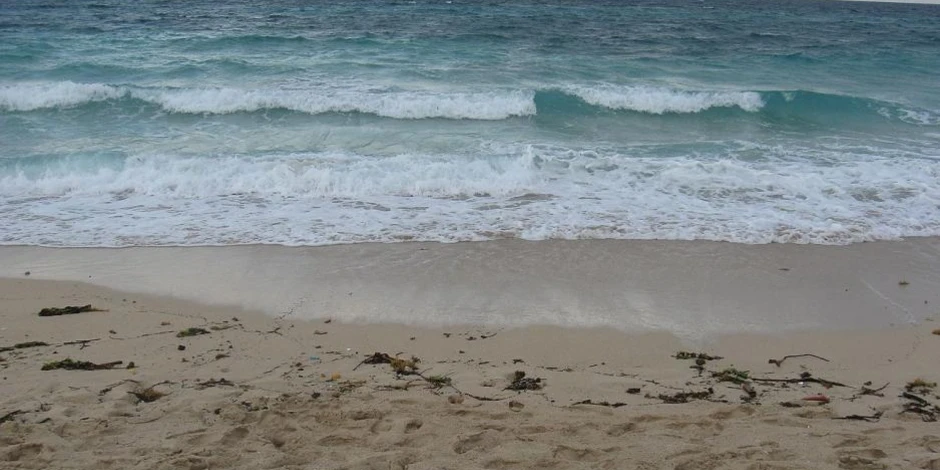 © By Alexander Berezhnoy, CC BY 3.0, https://commons.wikimedia.org/w/index.php?curid=54669594
Source: https://commons.wikimedia.org/w/index.php?curid=54669594 Alt Placeholder